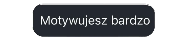 Wiadomość z opinią od klientki lub klienta Julii Nowickiej, zrzut ekranu 5 z 19